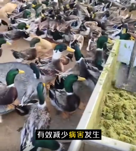 截图20260721094824.png