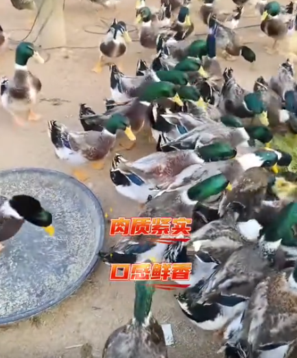 截图20260721094944.png