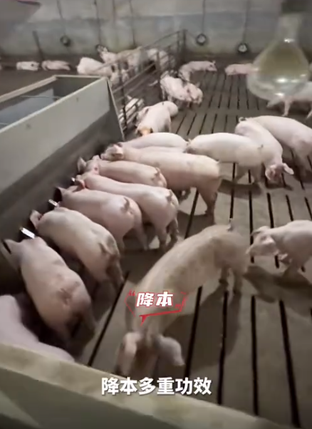 截图20260722095220.png