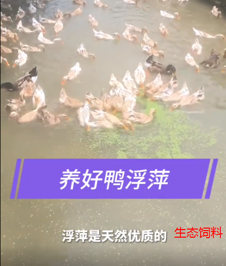 截图20260723093757.png