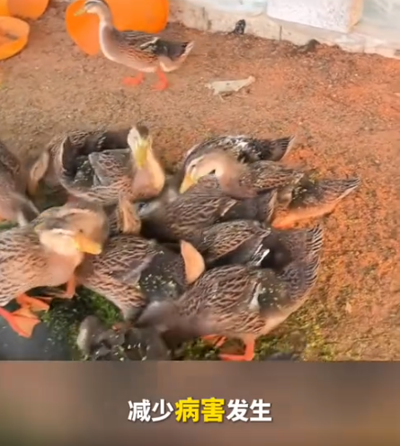 截图20260723094010.png