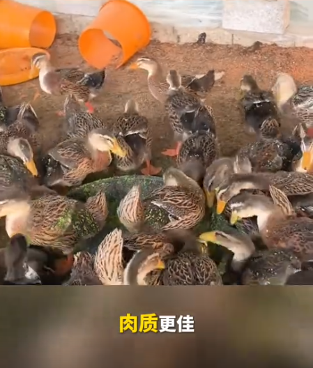 截图20260723093926.png