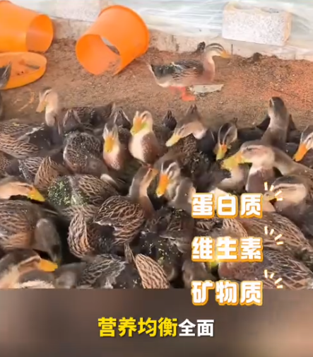 截图20260723093944.png