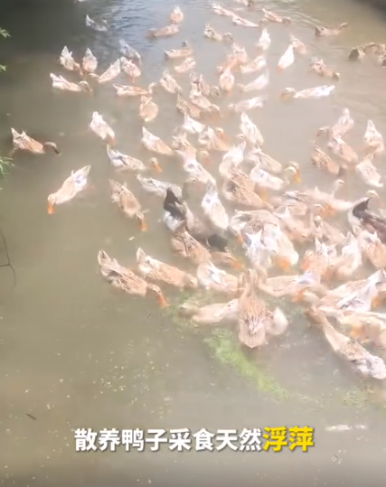 截图20260723094307.png