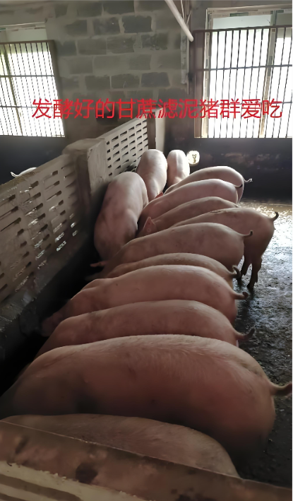 d587dc0b-f70e-443d-acf1-e4f93c8b8529.png