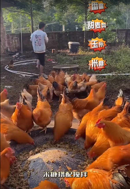 截图20260724091919.png 截图20260724091919.png