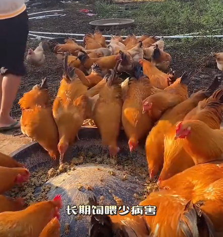 截图20260724092230.png 截图20260724092230.png