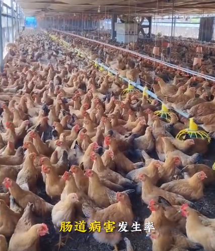 截图20260725104237.png