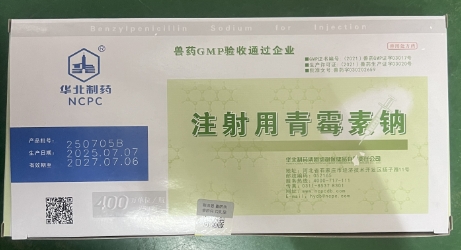 微信截图_20260727093109.jpg