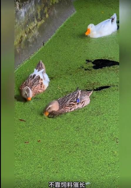 截图20260728105755.png