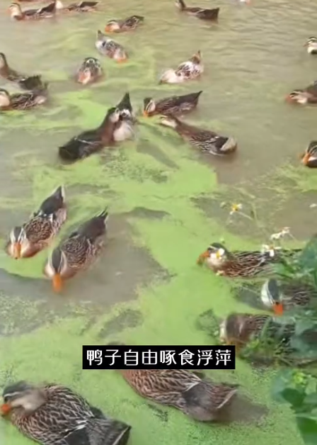 截图20260709091849.png