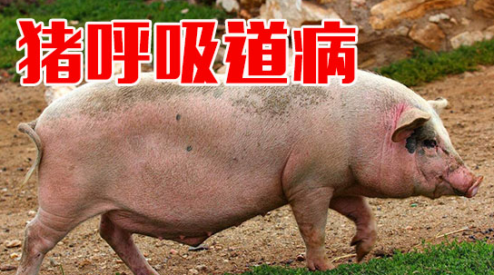 截图20260728112144.png