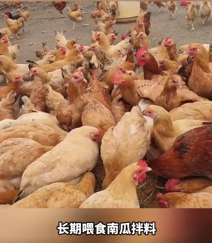 截图20260801093402.png 截图20260801093402.png