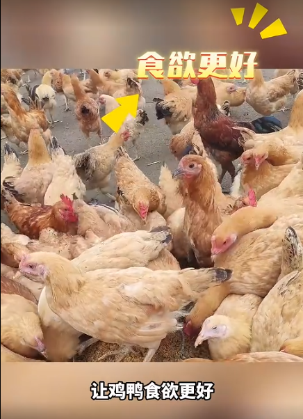 截图20260801093512.png 截图20260801093512.png