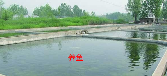截图20260804111556.png 截图20260804111556.png