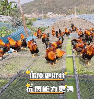 QQ浏览器截图20260814233049.png