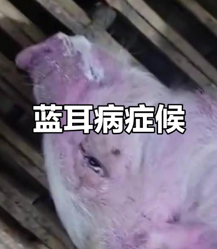 截图20260817092146.png