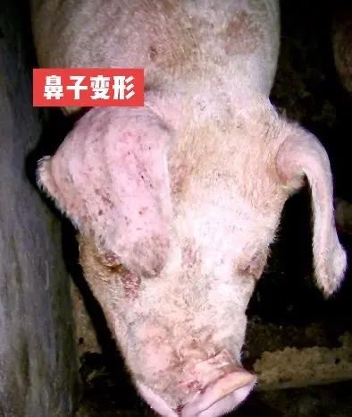 微信图片_20260818090927.jpg
