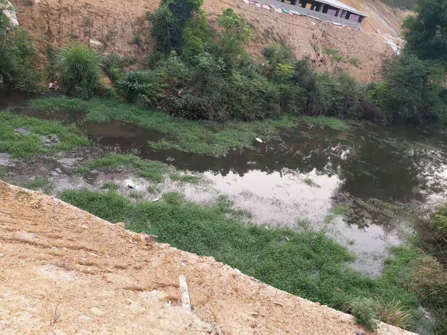 养殖场偷排污水4.jpg 养殖场偷排污水4.jpg