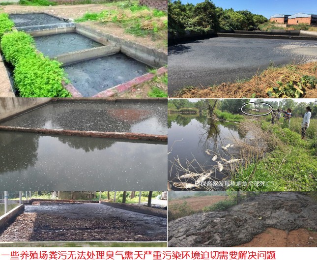 一些养殖场粪污无法处理臭气熏天严重污染环境迫切需要解决问题.jpg 一些养殖场粪污无法处理臭气熏天严重污染环境迫切需要解决问题.jpg