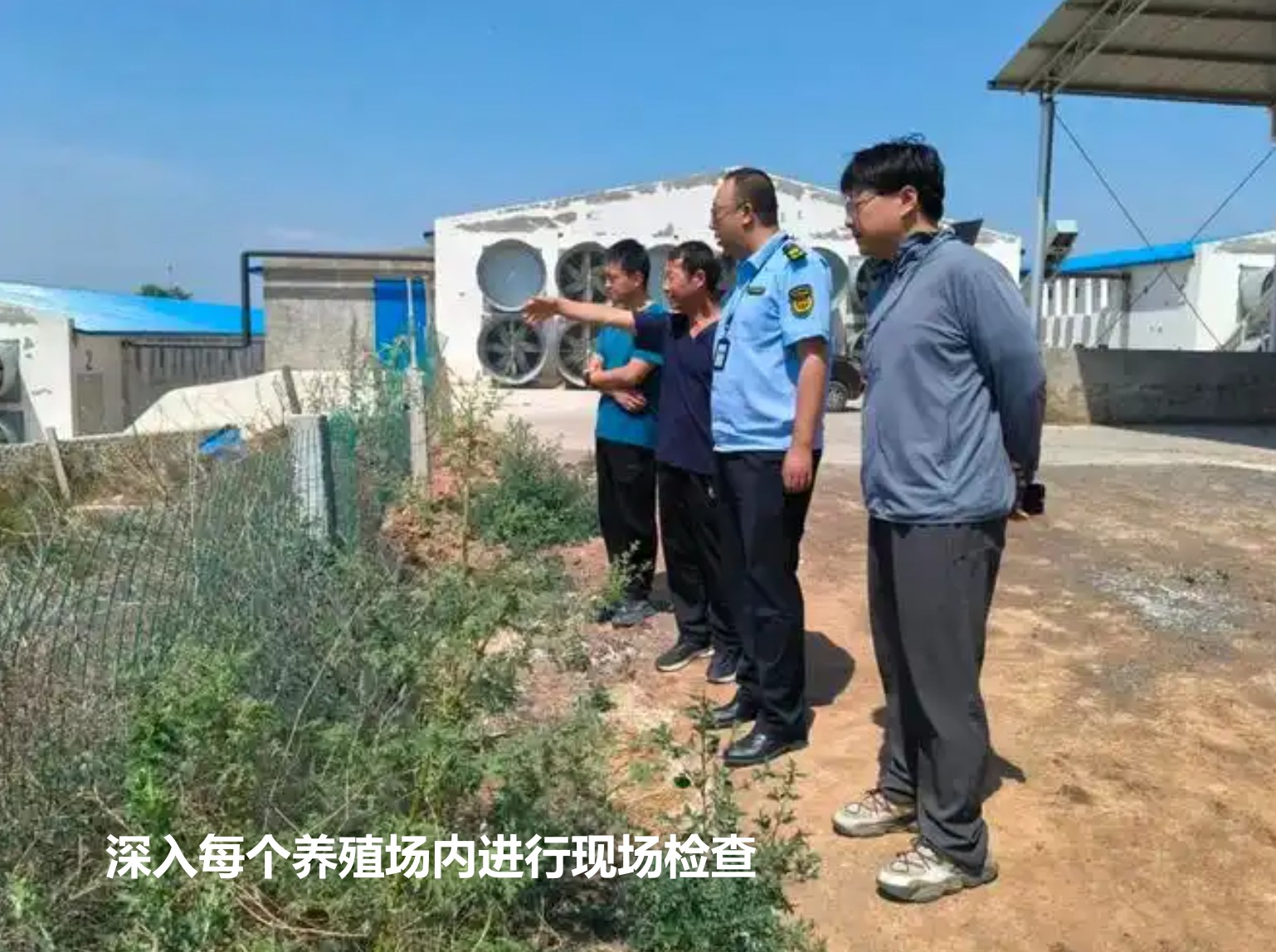 深入每个养殖场内进行现场检查.jpg 深入每个养殖场内进行现场检查.jpg