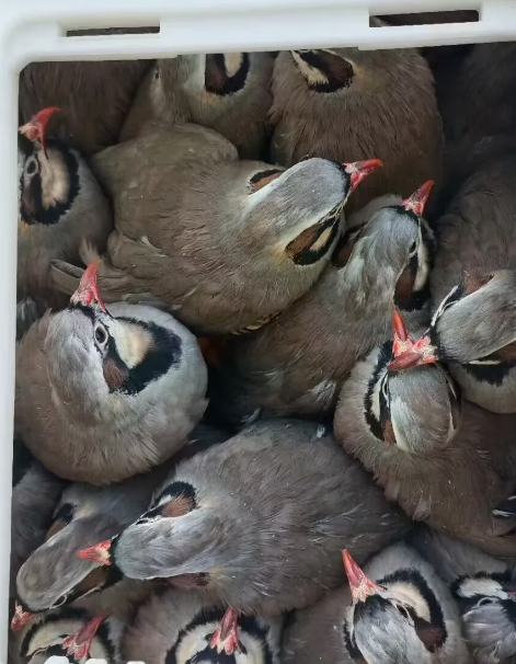 image.png image.png