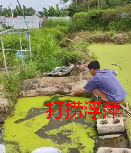 截图20260911110131.png