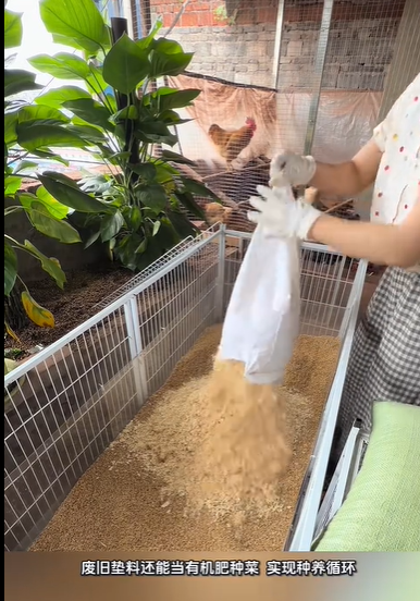 QQ浏览器截图20260911235926.png