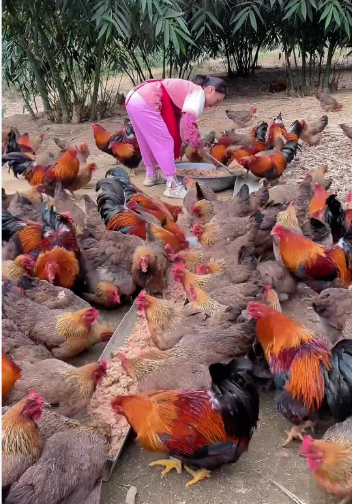 截图20260919101347.png 截图20260919101347.png